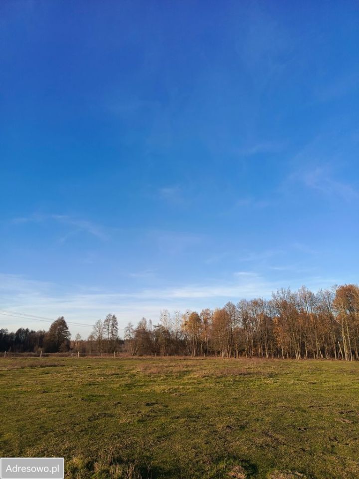 Działka siedliskowa Nowa Wieś. Zdjęcie 13