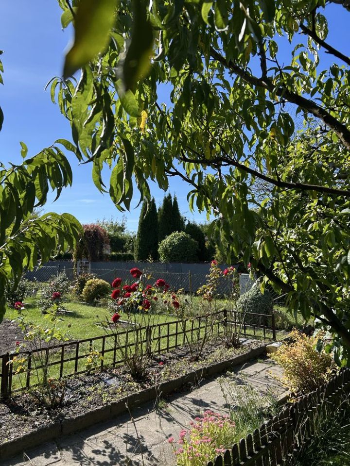 Działka rod Witkowo. Zdjęcie 2