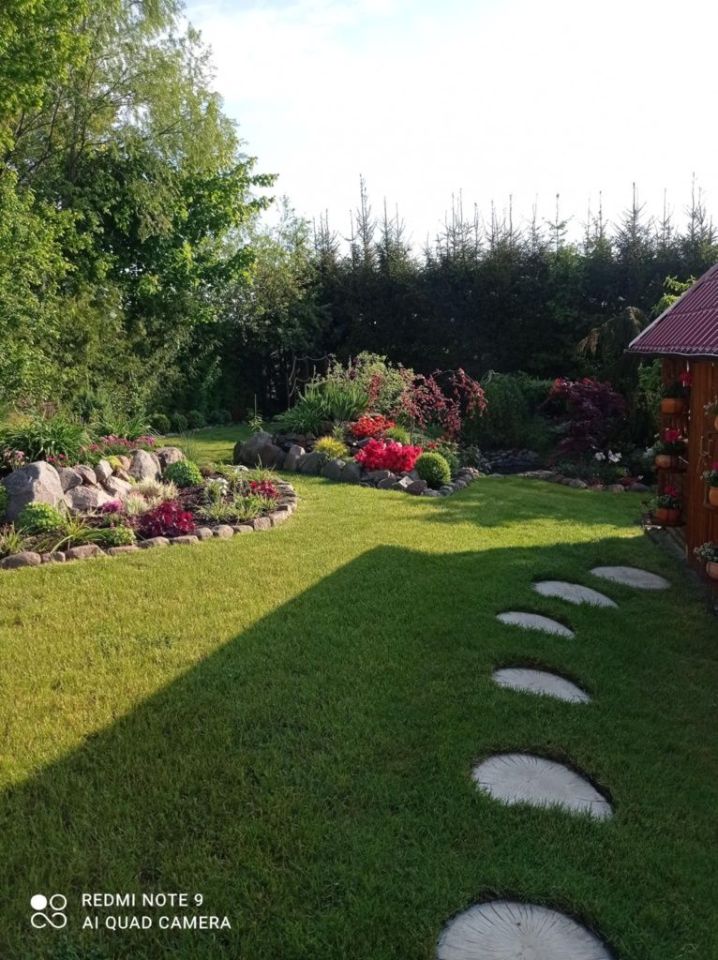 bliźniak Czarny Kierz. Zdjęcie 7