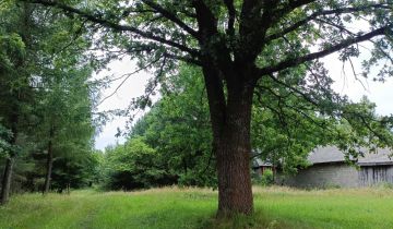 Działka rolno-budowlana Błotnica