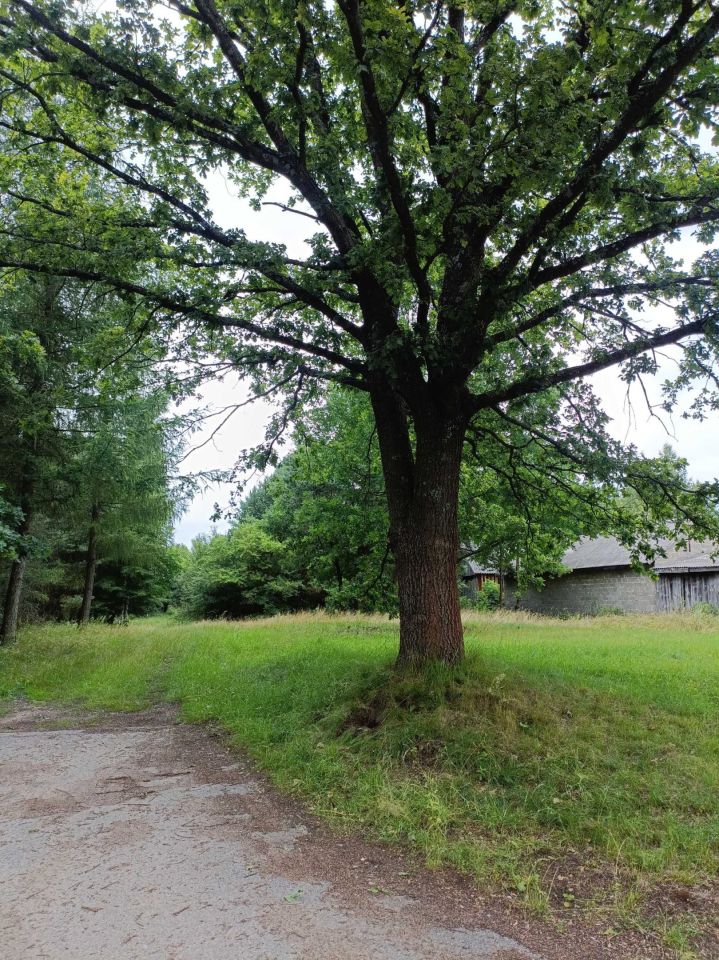 Działka rolno-budowlana Błotnica. Zdjęcie 2