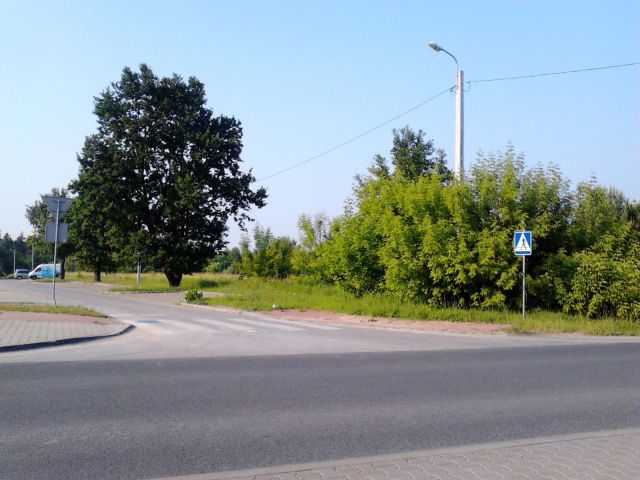 Działka budowlana Cerekiew, ul. Radomska. Zdjęcie 12