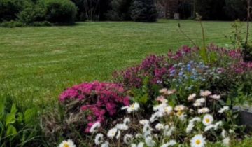 Działka budowlana Błędowo, ul. Sielawy