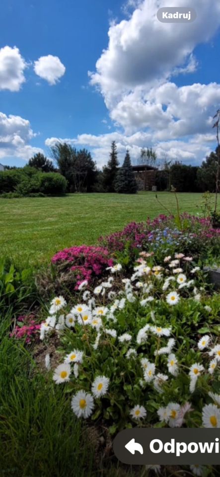 Działka budowlana Błędowo, ul. Sielawy. Zdjęcie 2