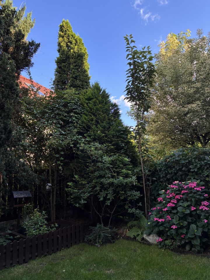 Mieszkanie 3-pokojowe Kraków Zwierzyniec, ul. Za Skłonem. Zdjęcie 8