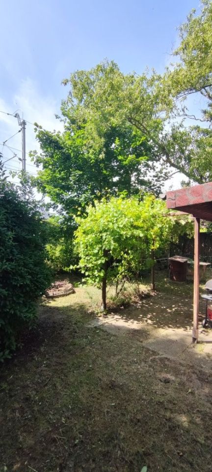 Działka rod Zgorzelec. Zdjęcie 3