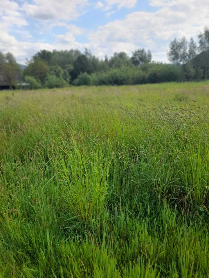 Działka budowlana Inwałd. Zdjęcie 2