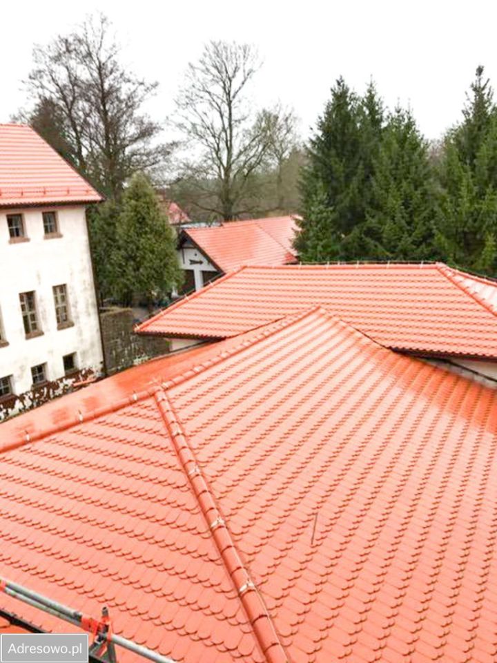 Nieruchomość komercyjna Babigoszcz. Zdjęcie 10