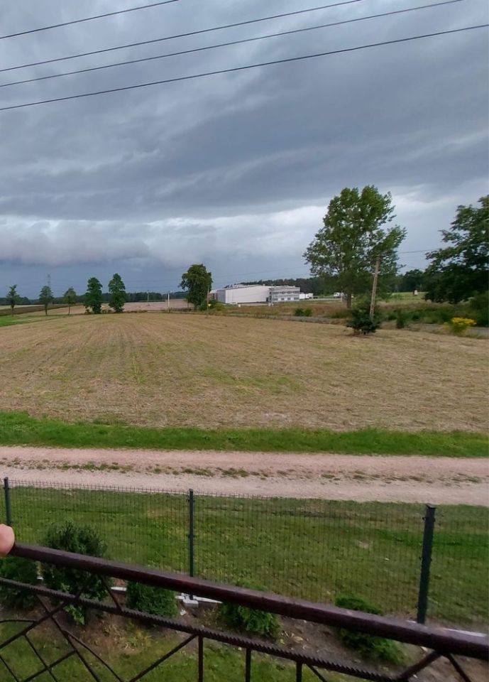 Działka budowlana Borki. Zdjęcie 2