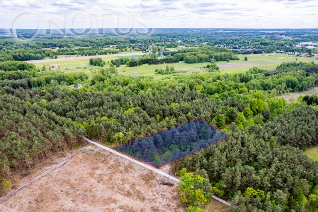 Działka budowlana Radziejowice, ul. Do Lasu. Zdjęcie 11