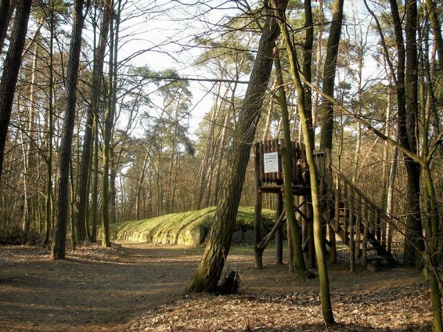 Działka rolno-budowlana Wietrzychowice. Zdjęcie 1