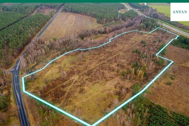 Działka inwestycyjna Strzelno, Zgorzelecka. Zdjęcie 1
