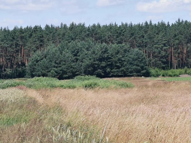 Działka rolna Kleszczyna. Zdjęcie 16