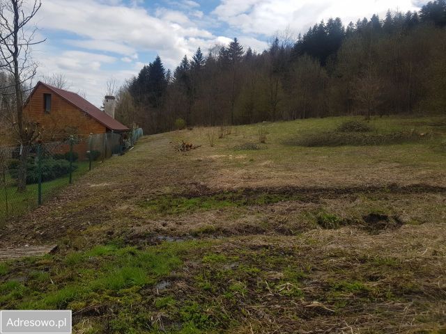 Działka rekreacyjna Rychwałd, ul. Spacerowa. Zdjęcie 1