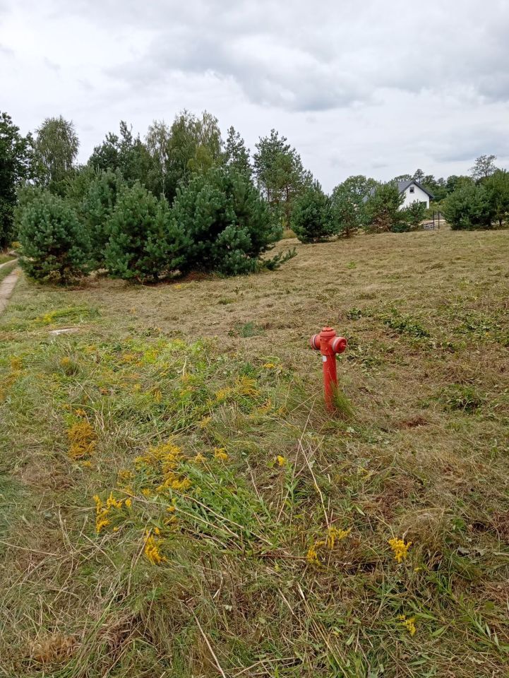 Działka budowlana Stare Krasnodęby. Zdjęcie 5