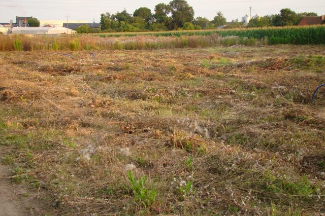 Działka budowlana Nowa Wieś. Zdjęcie 1