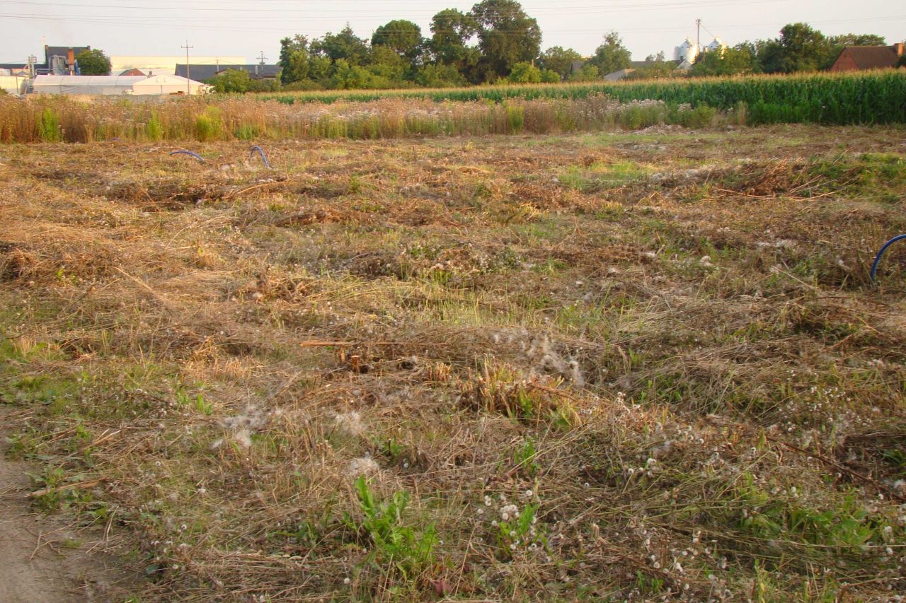 Działka budowlana Nowa Wieś
