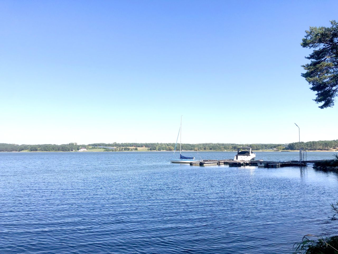 Działka budowlana Korytnica Kolanka. Zdjęcie 13