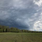 Działka siedliskowa Brzozowica. Zdjęcie 3