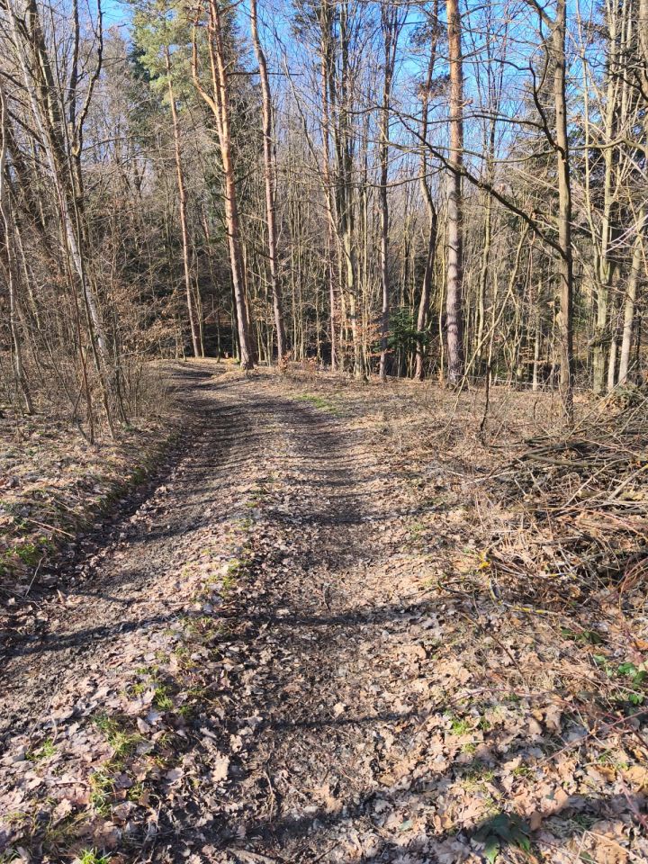 Działka rolna Dębowa. Zdjęcie 7