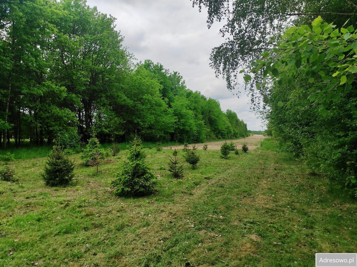 Działka budowlana Izbiska. Zdjęcie 10