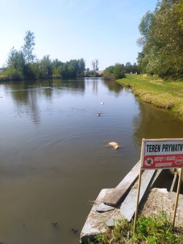 Działka budowlana Pęczelice. Zdjęcie 1