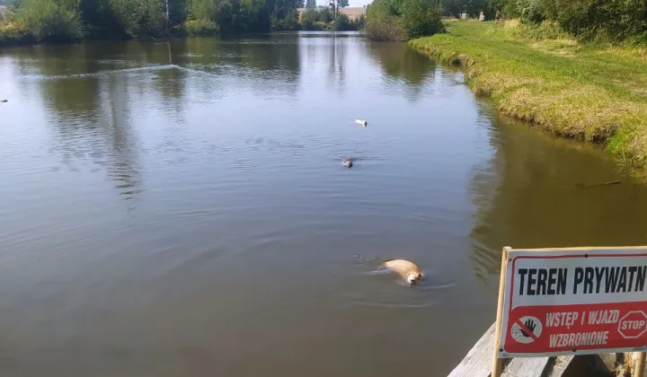 Działka budowlana Pęczelice