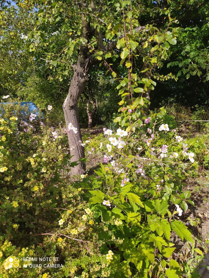 Działka rod Mysłowice Brzęczkowice. Zdjęcie 5