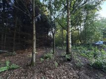 Działka budowlana Arciechów Myszyniec. Zdjęcie 1