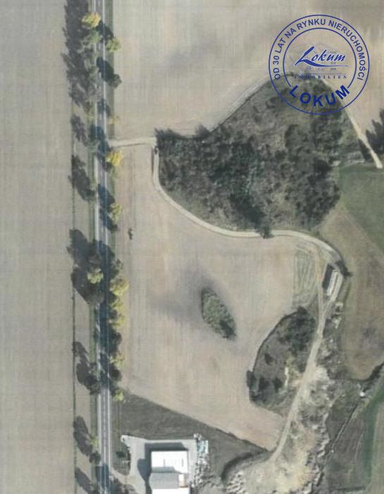 Działka inwestycyjna Lipno. Zdjęcie 2