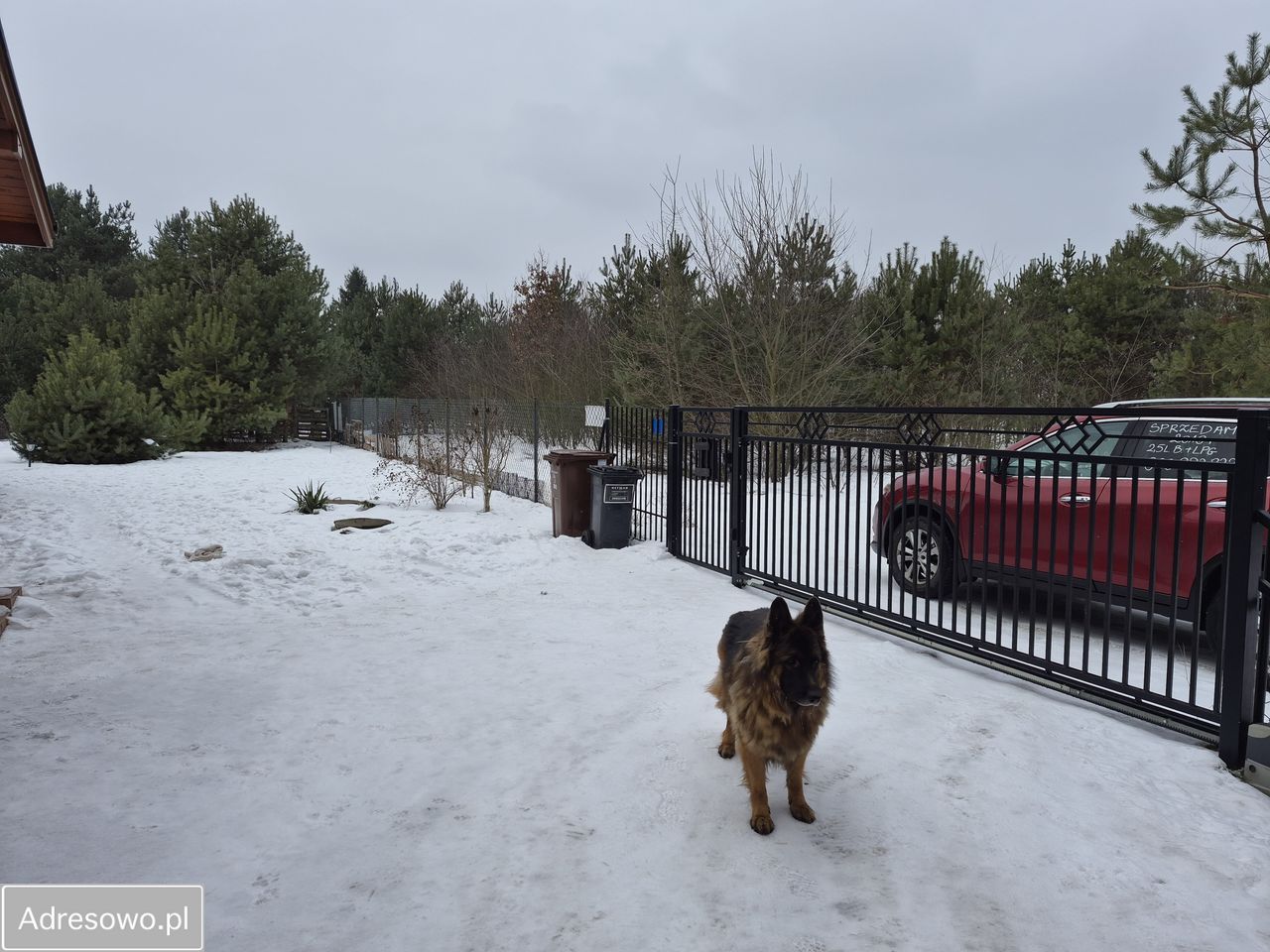 dom wolnostojący, 4 pokoje Żółwin. Zdjęcie 11