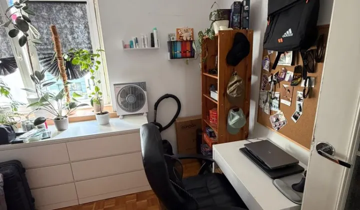 Pokój Wrocław Stare Miasto, ul. Środkowa