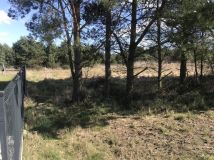 Działka rod Trzcianka. Zdjęcie 1