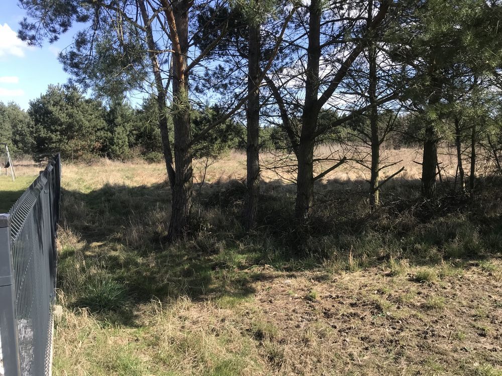 Działka rod Trzcianka. Zdjęcie 2