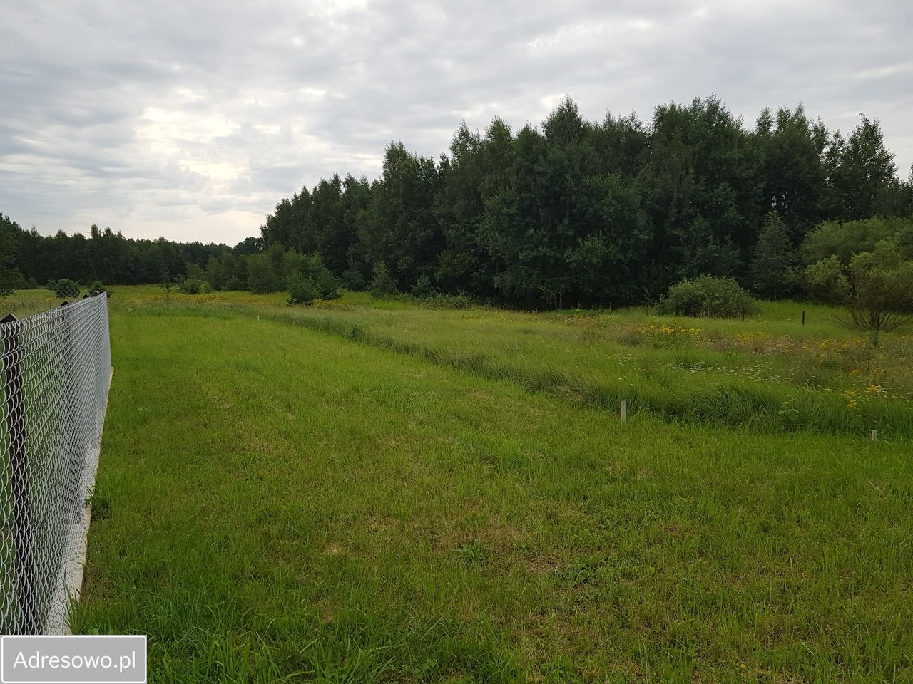 Działka budowlana Janowo. Zdjęcie 2