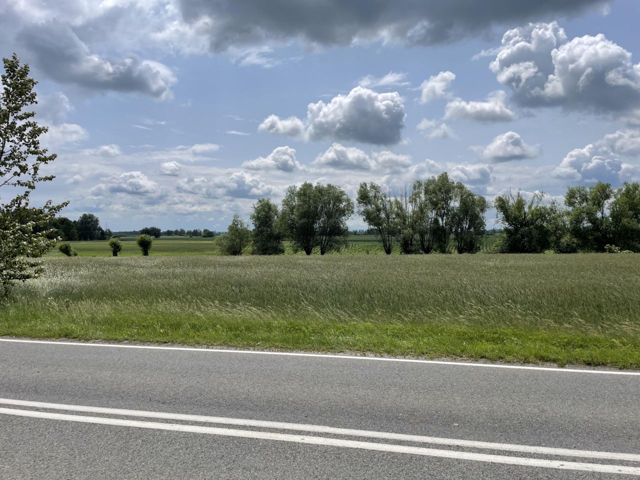 Działka budowlana Niedary, Miodowa. Zdjęcie 3
