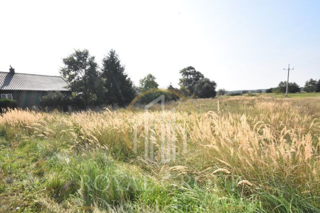 Działka Kamionka. Zdjęcie 4