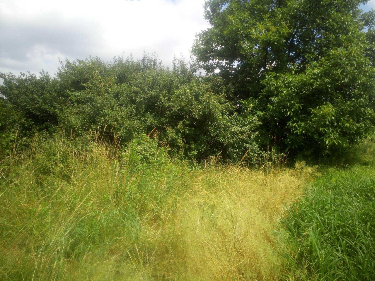 dom wolnostojący Ćmielów. Zdjęcie 8