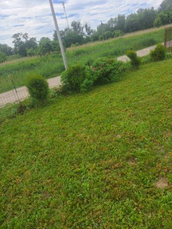 Działka rod Michałowice. Zdjęcie 6