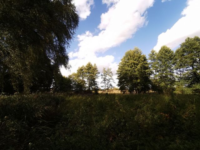 Działka inna Złotów, ul. ks. dr. Bolesława Domańskiego. Zdjęcie 12