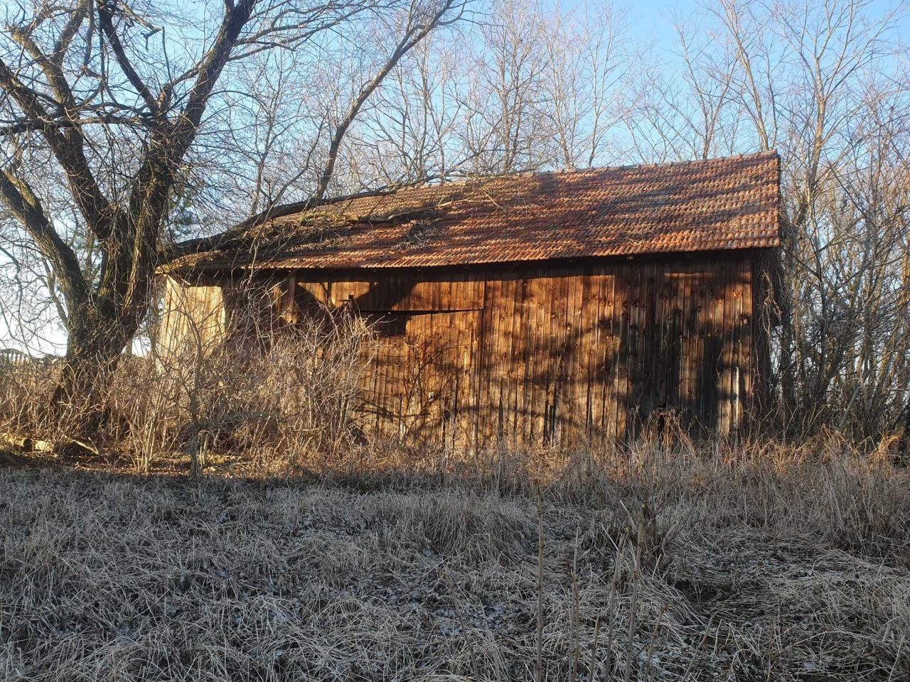 dom wolnostojący Kazimierza Wielka. Zdjęcie 7