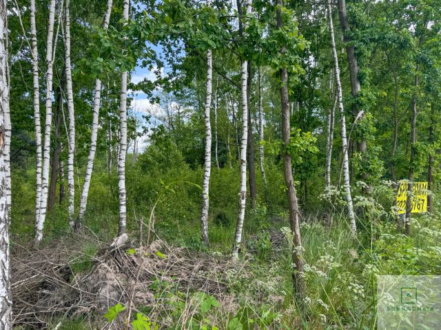 Działka budowlana Wola Rowska. Zdjęcie 1