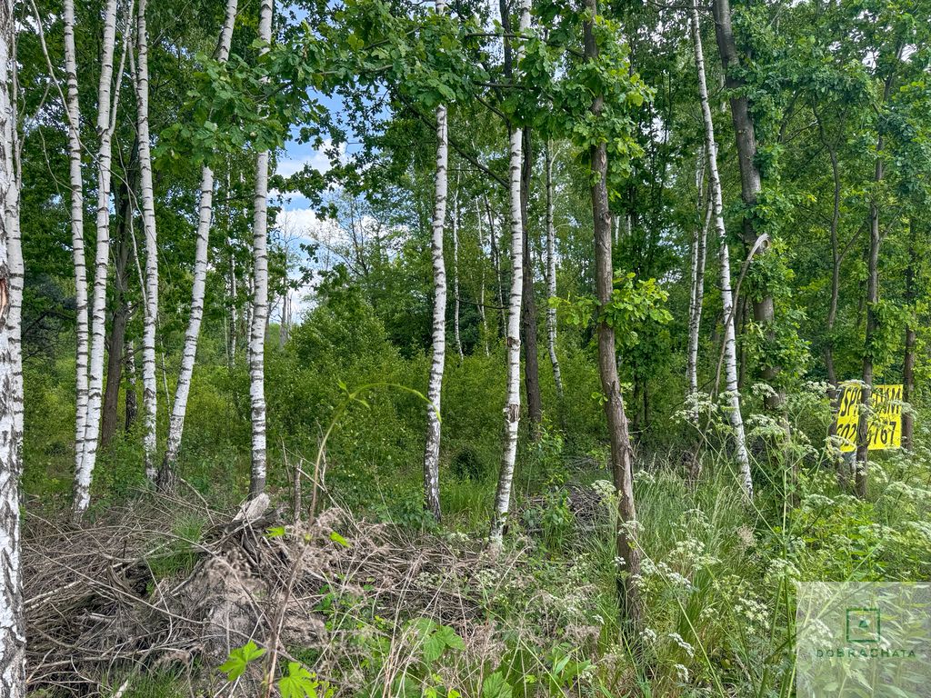 Działka budowlana Wola Rowska