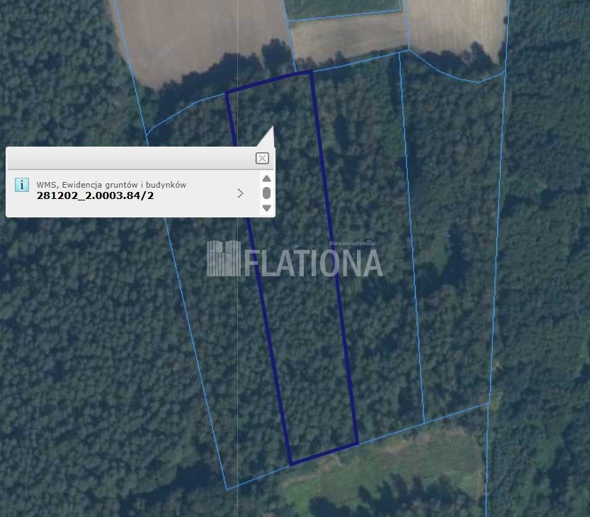 Działka leśna Czachówki. Zdjęcie 3