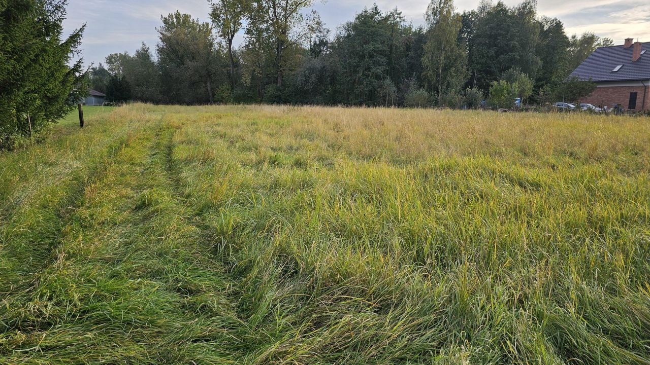 Działka inwestycyjna Palikówka. Zdjęcie 4