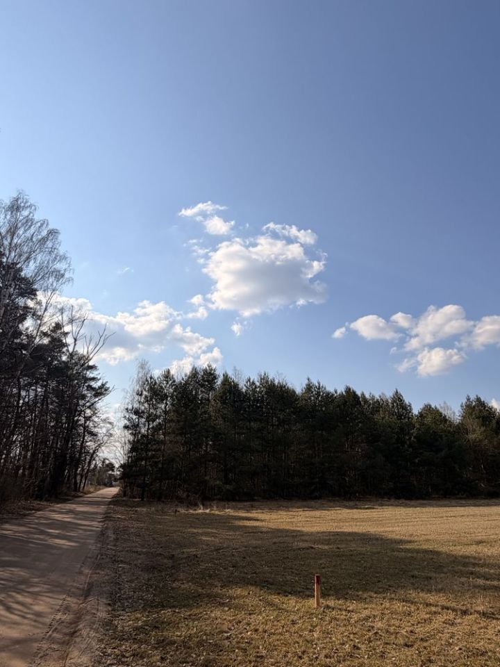 Działka budowlana Brańszczyk, ul. Ciepła. Zdjęcie 3