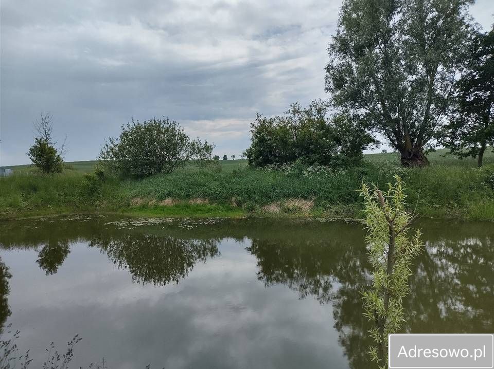 siedlisko Sokoligóra. Zdjęcie 6