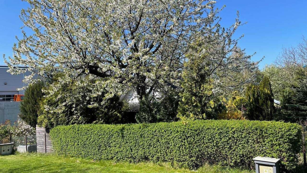 Działka rod Wieliczka. Zdjęcie 8
