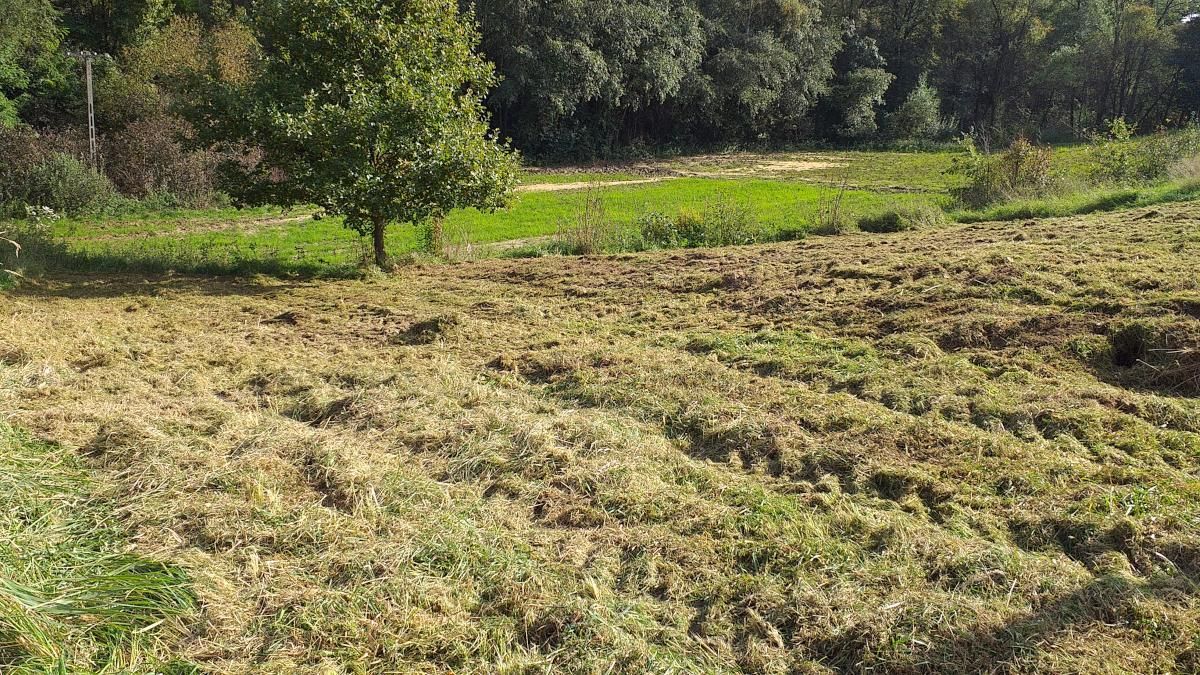Działka budowlana Wrząsowice, ul. Urocza. Zdjęcie 16