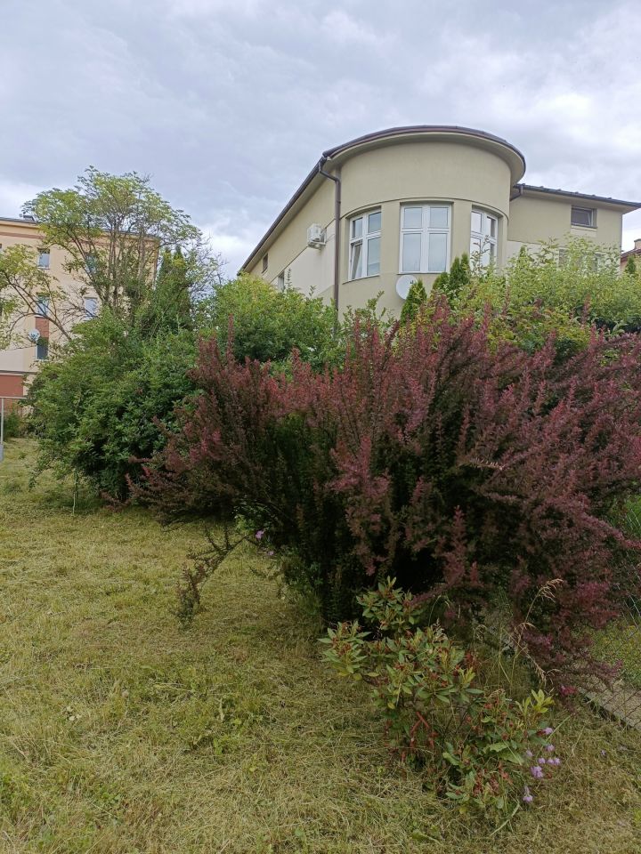 dom wolnostojący, 4 pokoje Jasło, ul. Fryderyka Chopina. Zdjęcie 6